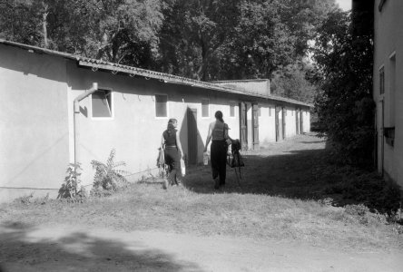 CANONET_QL17  SCHEIBENHOLZ_0010_WEB.jpg