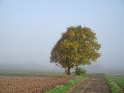 G10D9422 1.jpg G10D9422 1.jpg