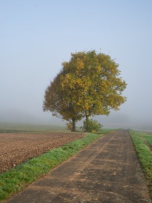 G10D9425.jpg G10D9425.jpg