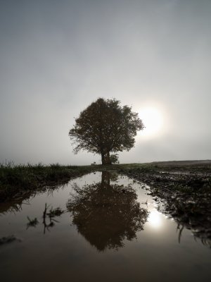 G10D9446.jpg G10D9446.jpg