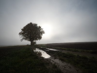 G10D9449.jpg G10D9449.jpg