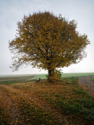 G10D9457.jpg G10D9457.jpg