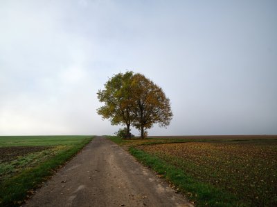 G10D9459.jpg G10D9459.jpg