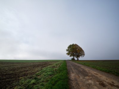 G10D9462 1.jpg G10D9462 1.jpg