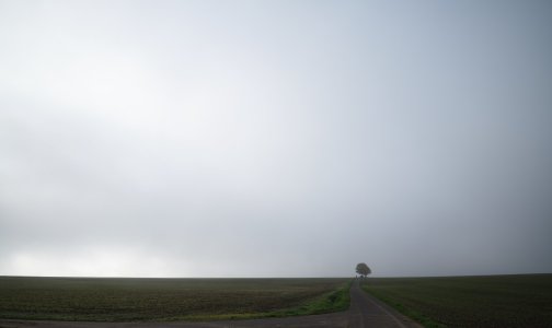 G10D9469.jpg G10D9469.jpg