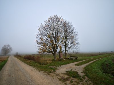 G10D9471.jpg G10D9471.jpg