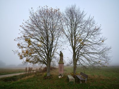 G10D9476.jpg G10D9476.jpg