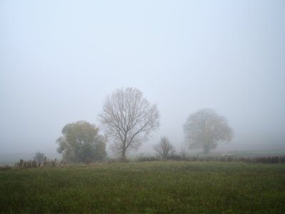 G10D9526.jpg G10D9526.jpg