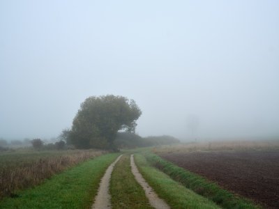 G10D9529.jpg G10D9529.jpg