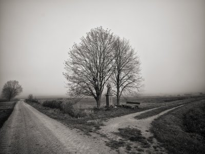 G10D9471 1.jpg G10D9471 1.jpg