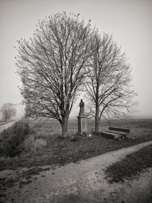 G10D9473 1.jpg G10D9473 1.jpg