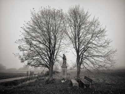 G10D9476 1.jpg G10D9476 1.jpg