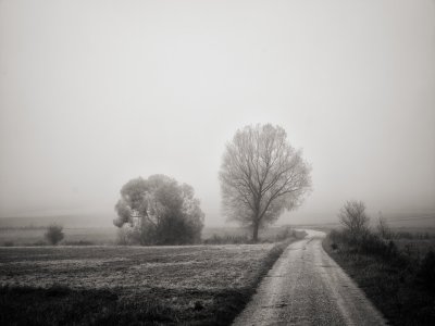 G10D9486 1.jpg G10D9486 1.jpg