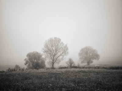 G10D9526 1.jpg G10D9526 1.jpg