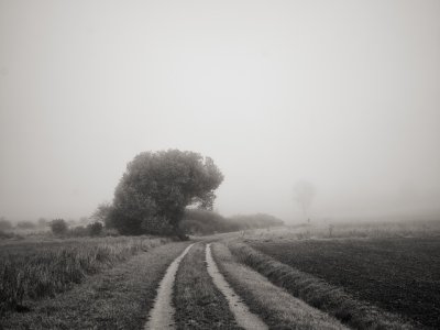 G10D9529 1.jpg G10D9529 1.jpg