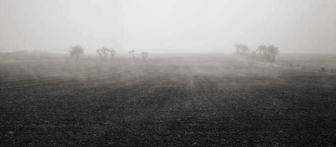 G10D9534_Panorama 1.jpg G10D9534_Panorama 1.jpg