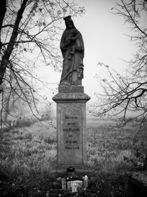 G10D9537.jpg G10D9537.jpg