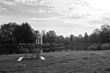 2024-10-27  LE-MIX  SWDSCF3469.jpg