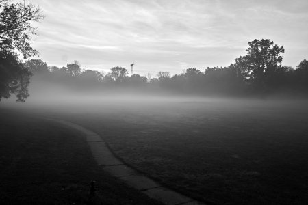 2024-10-27  LE-MIX  SWDSCF3457.jpg