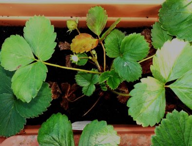 DSC05525.jpg DSC05525.jpg