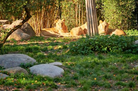 2024-11-03  LE-ZOO  MIX_DSF0194.jpg