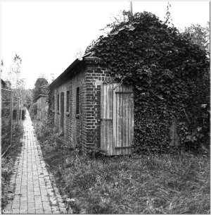 Bild-ADOX - 4.jpg