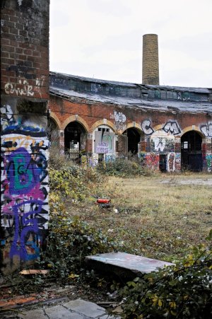 _P2Q0595.jpg _P2Q0595.jpg