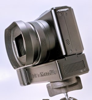 _MG_1081.jpg _MG_1081.jpg