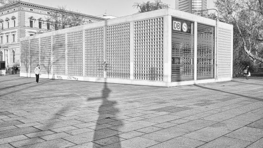 2024-12-13  SIGMA DP1m  MIX-LE  SW20241213-_P1M1037.jpg