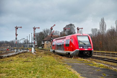 2024-12-08  DR 52_8154-8  ZEITZ  DP3m_P3M3080-1.jpg