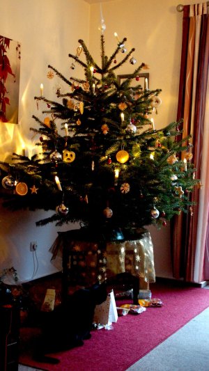 DSC03727.JPG DSC03727.JPG