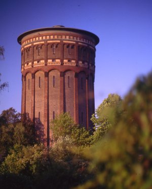 File0317.jpg File0317.jpg