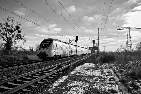 2025-01-13  LE-MIX_DSCF3666_SW-22.jpg