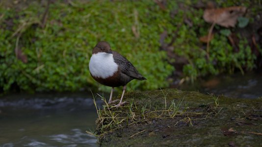 2025-01-25_EOS R6_0547.jpg