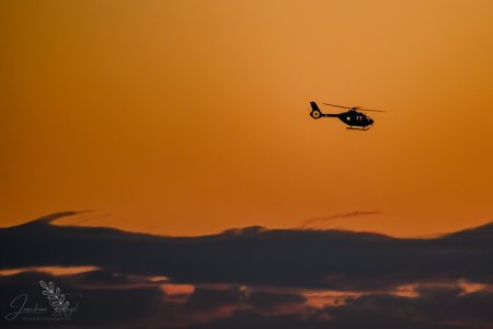 DSC_0525-Verbessert-RR.JPG DSC_0525-Verbessert-RR.JPG