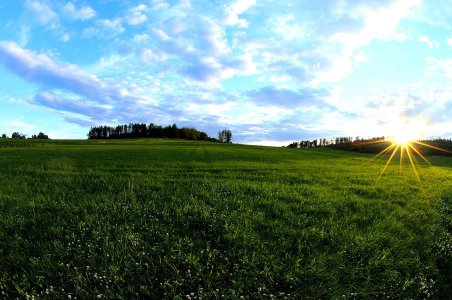 comp__D300856_01.jpg comp__D300856_01.jpg