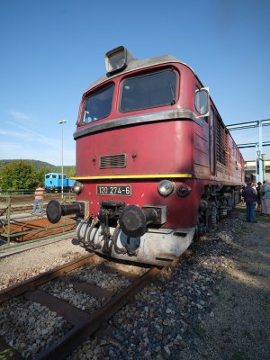 G10D8598.jpg