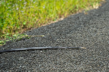 small_1700_DSC08615-Bearbeitet.jpg small_1700_DSC08615-Bearbeitet.jpg
