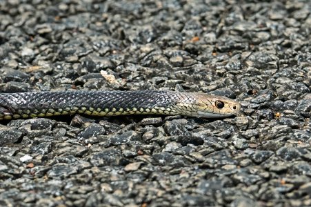 small_1700_DSC08615-Bearbeitet-3.jpg small_1700_DSC08615-Bearbeitet-3.jpg