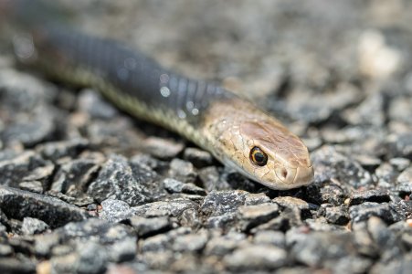 small_1700_DSC08618-Bearbeitet-2.jpg small_1700_DSC08618-Bearbeitet-2.jpg