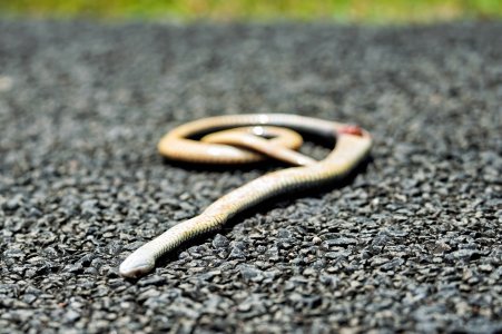 small_1700_DSC08585-Bearbeitet-Bearbeitet.jpg small_1700_DSC08585-Bearbeitet-Bearbeitet.jpg