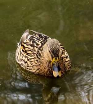 20250205_124225_1 (2).jpg