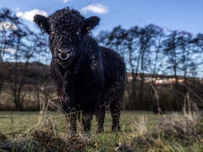 IMG_0338 (1)_portrait.jpg