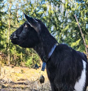 20250302_122442 (1).jpg