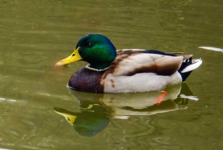 20250205_124002_1 (2).jpg