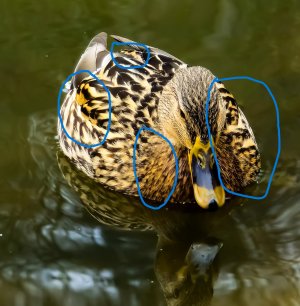 20250205_124225_1 (3).jpg