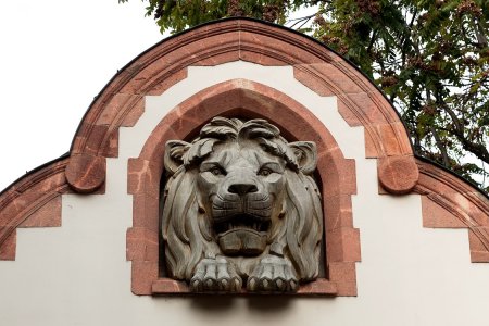 000277_HERBST 2011 IN LE.jpg