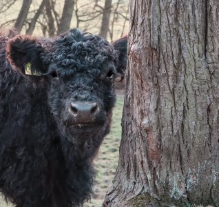 IMG_0538 (1) (1).jpg