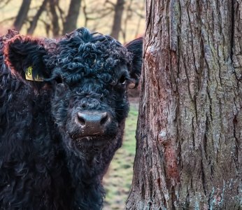 IMG_0538 (1) (1).jpg