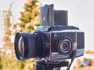 _DSC2208.jpg _DSC2208.jpg